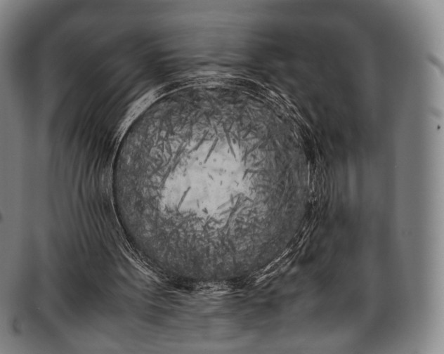 X0000096670099200802191339