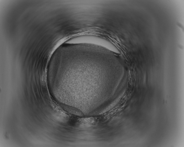 X0000096670100200802191339