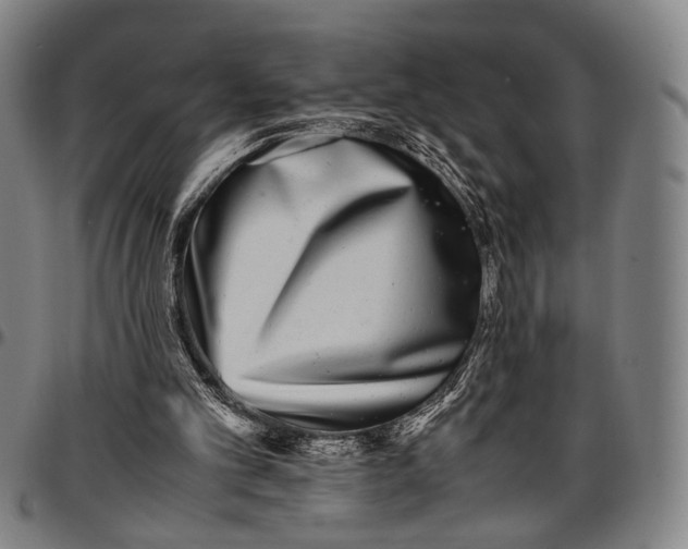 X0000096670101200802191338