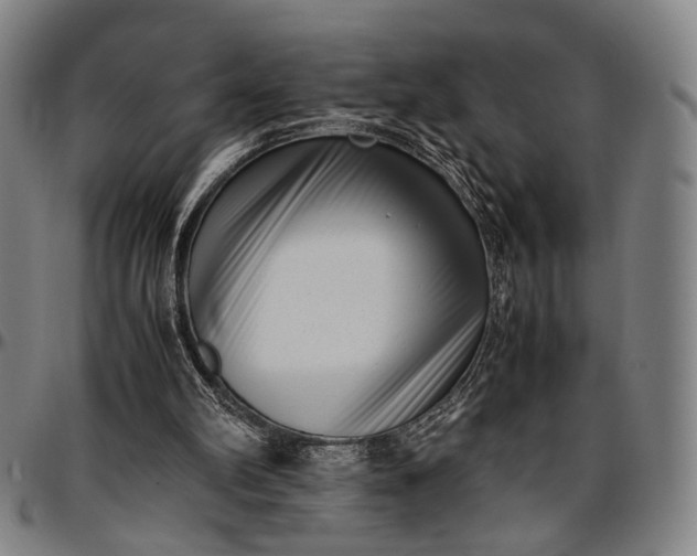 X0000096670102200802191338