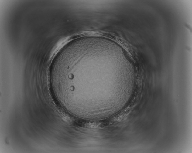 X0000096670103200802191338