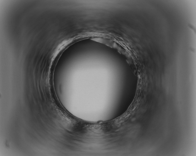 X0000096670104200802191338