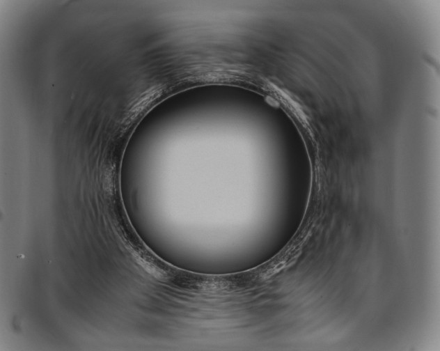 X0000096670105200802191338