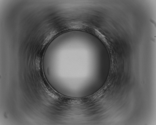 X0000096670106200802191338