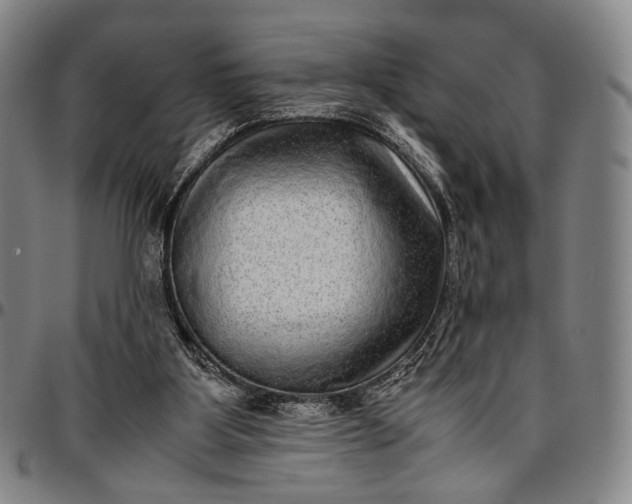 X0000096670107200802191338
