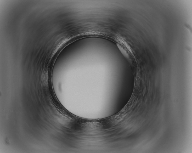 X0000096670108200802191338