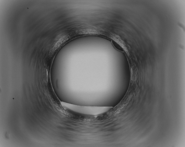X0000096670109200802191338