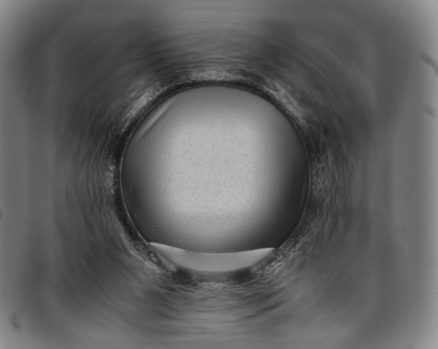X0000096670111200802191338
