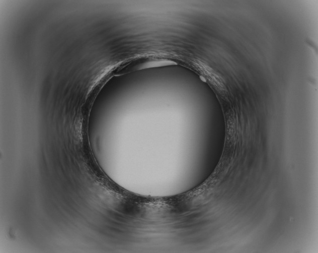 X0000096670112200802191338