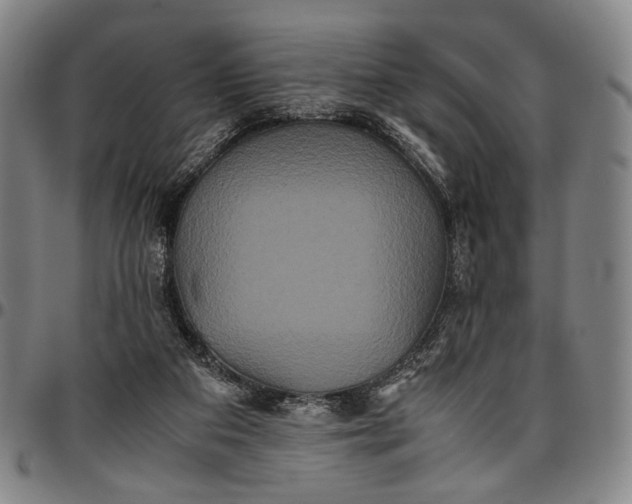 X0000096670113200802191338