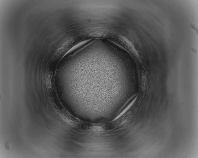 X0000096670114200802191338