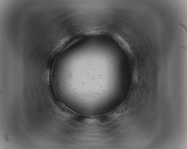 X0000096670115200802191338