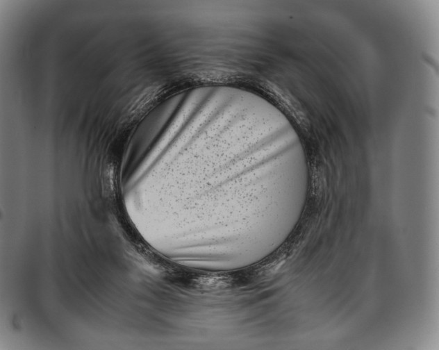 X0000096670117200802191338