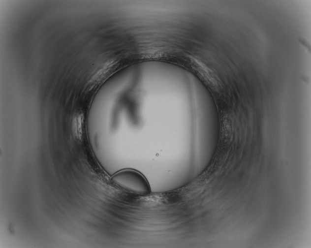 X0000096670118200802191338