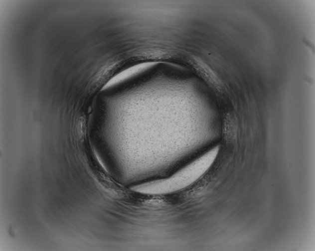 X0000096670119200802191338