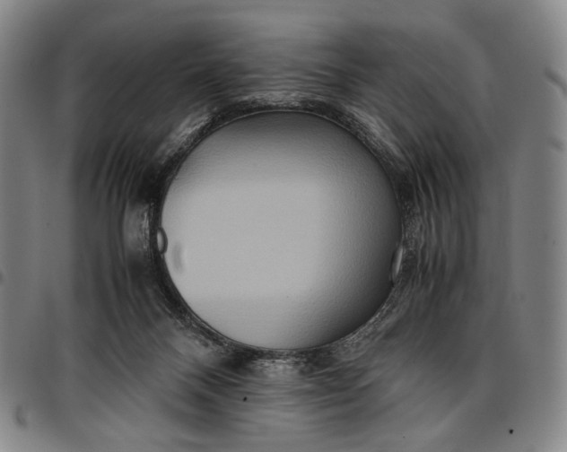X0000096670120200802191338