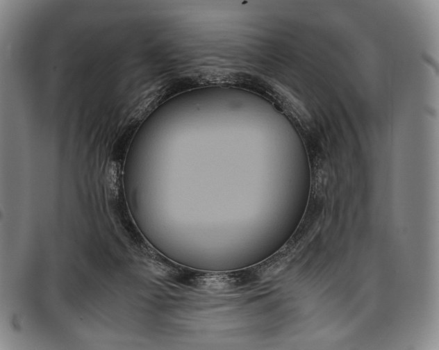 X0000096670121200802191338