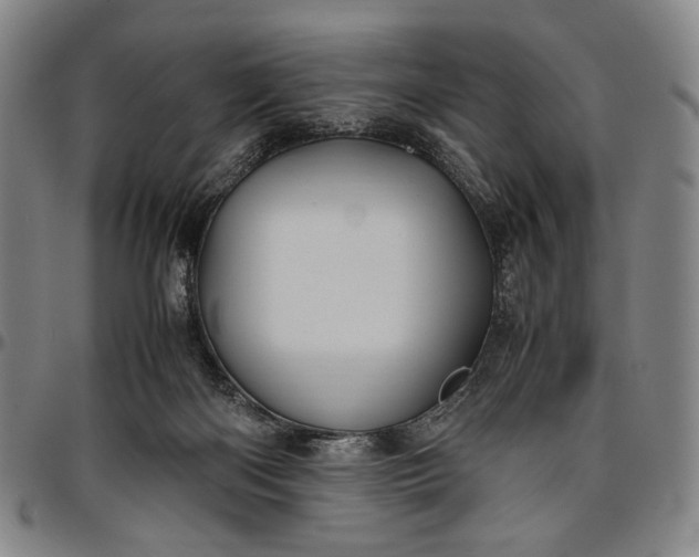 X0000096670122200802191338