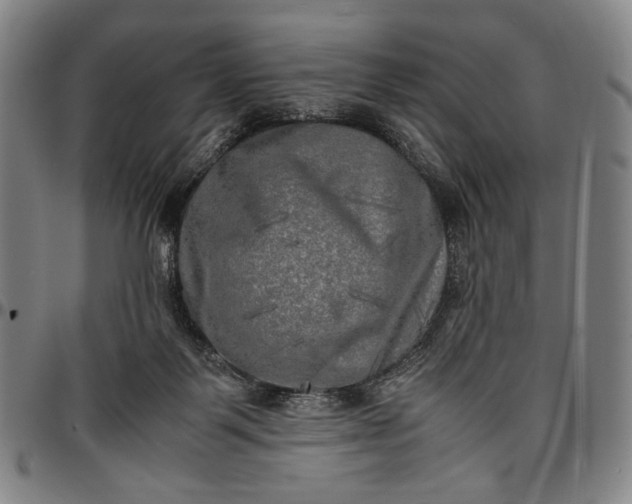 X0000096670123200802191338