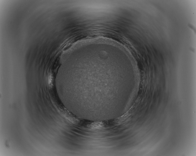 X0000096670124200802191338
