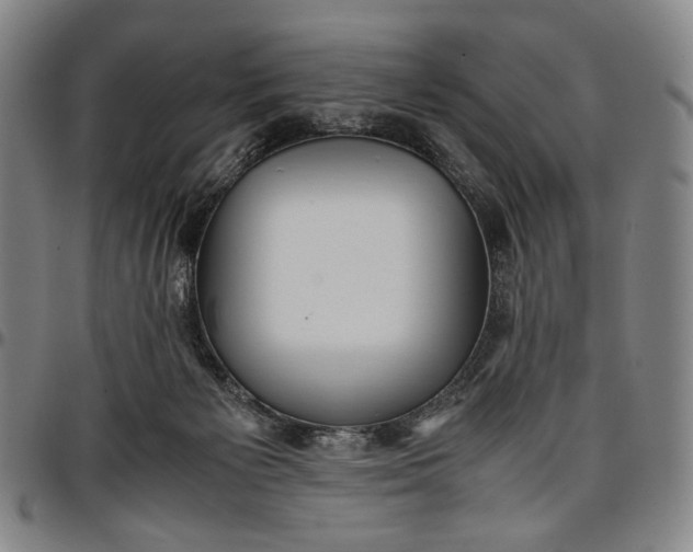 X0000096670125200802191338