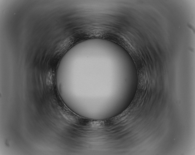 X0000096670126200802191338