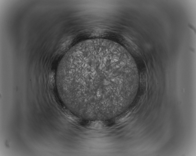 X0000096670127200802191338