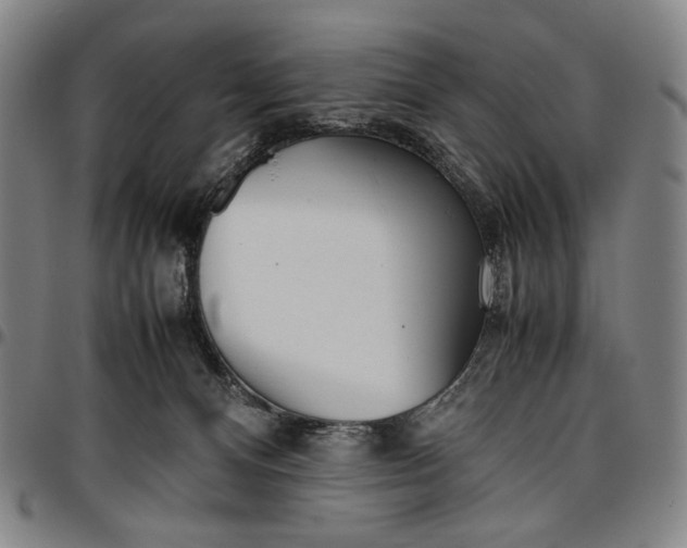 X0000096670128200802191338