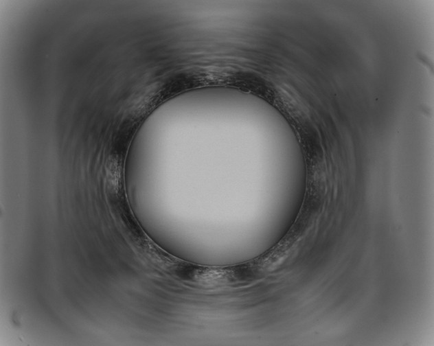 X0000096670129200802191338