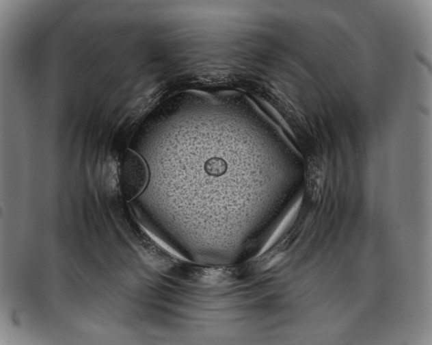 X0000096670130200802191338
