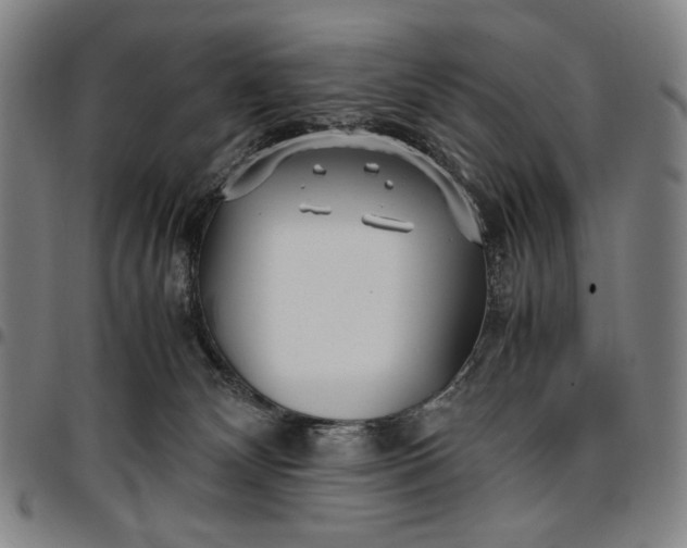 X0000096670132200802191338
