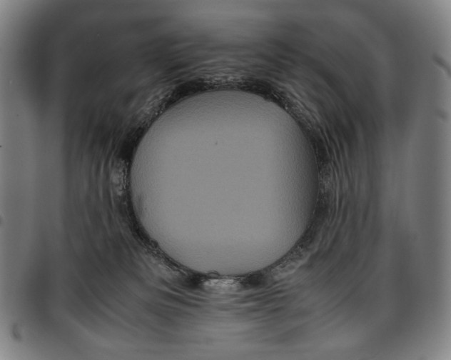 X0000096670133200802191338