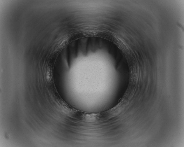 X0000096670134200802191338