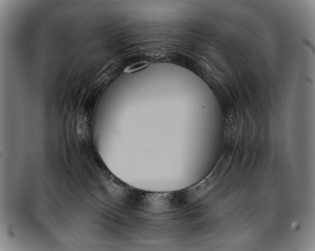 X0000096670136200802191338