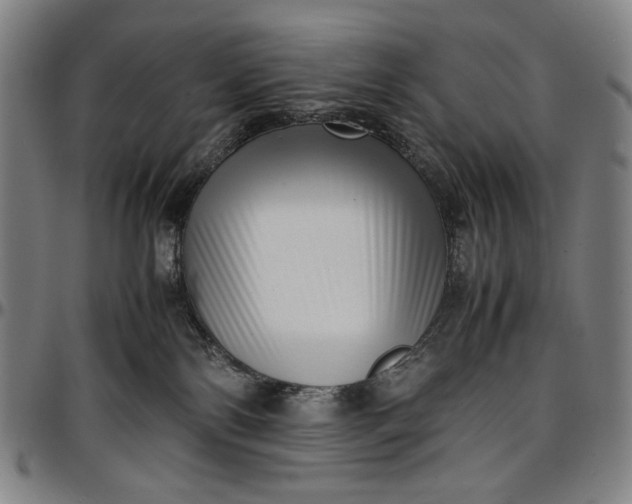 X0000096670138200802191338