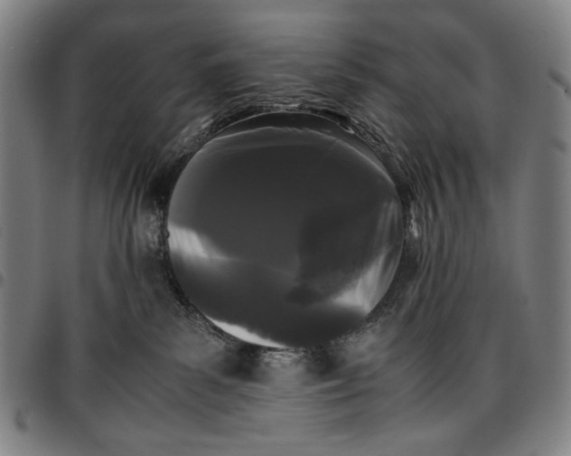 X0000096670139200802191338