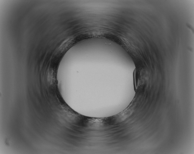 X0000096670140200802191338