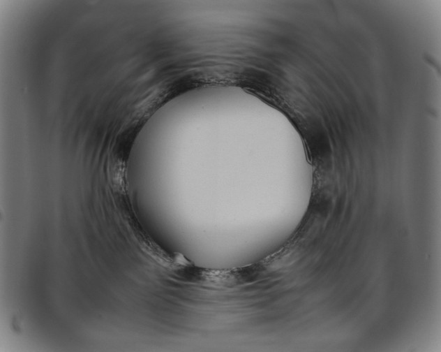 X0000096670141200802191338