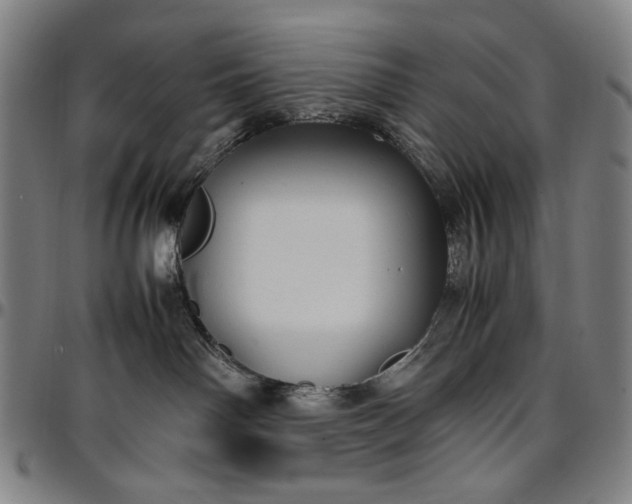 X0000096670142200802191338