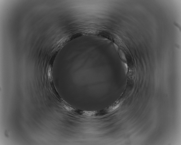 X0000096670143200802191338