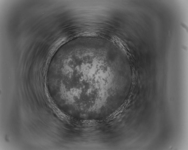 X0000096670145200802191337
