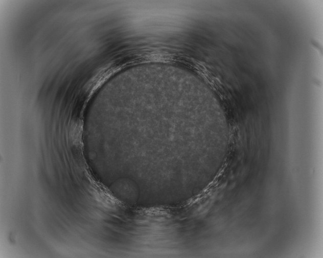 X0000096670146200802191337