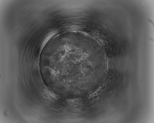X0000096670147200802191337