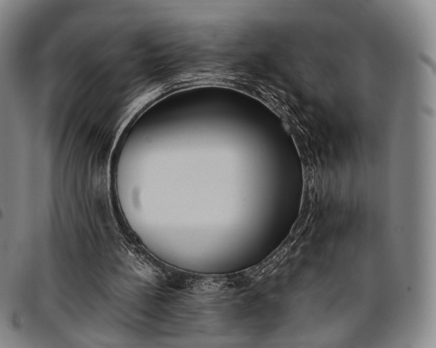 X0000096670148200802191337