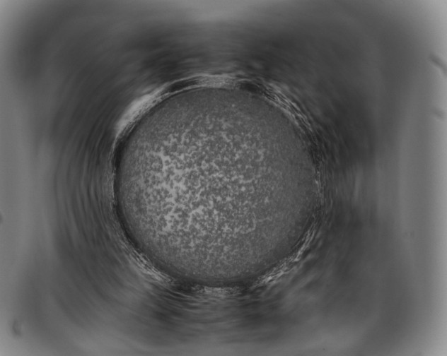 X0000096670149200802191337