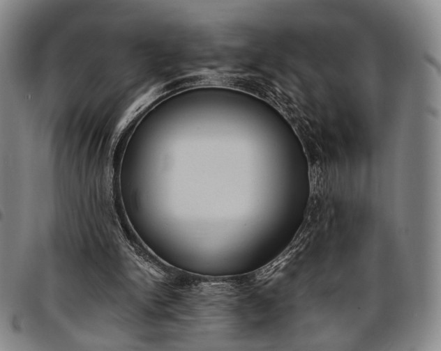 X0000096670150200802191337