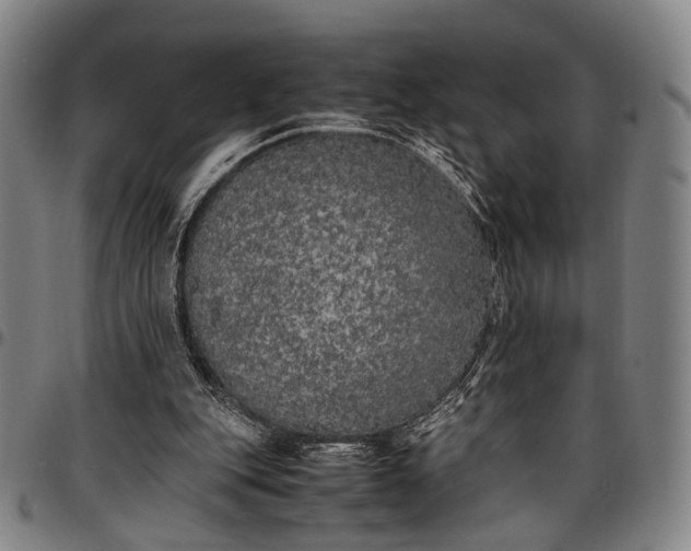 X0000096670151200802191337