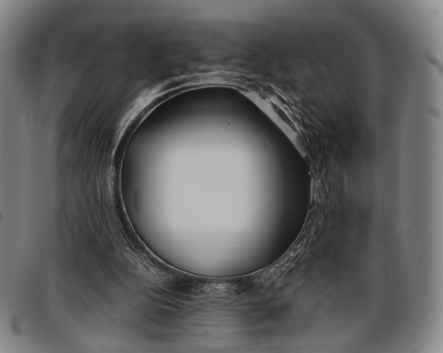 X0000096670152200802191337