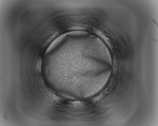 X0000096670153200802191337
