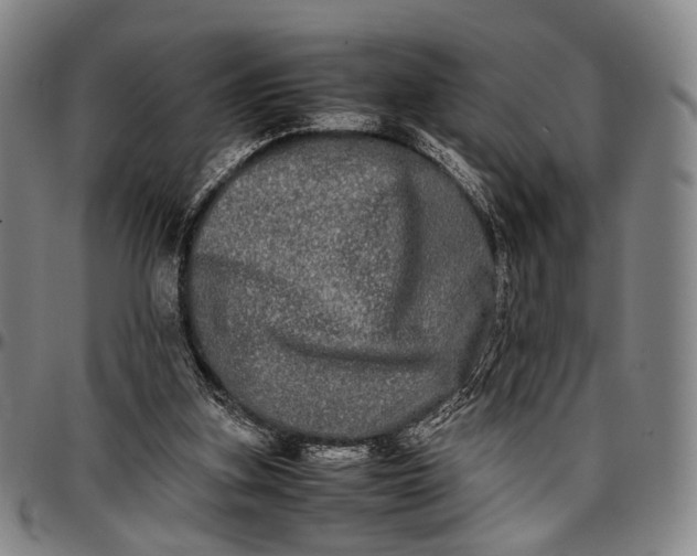 X0000096670155200802191337